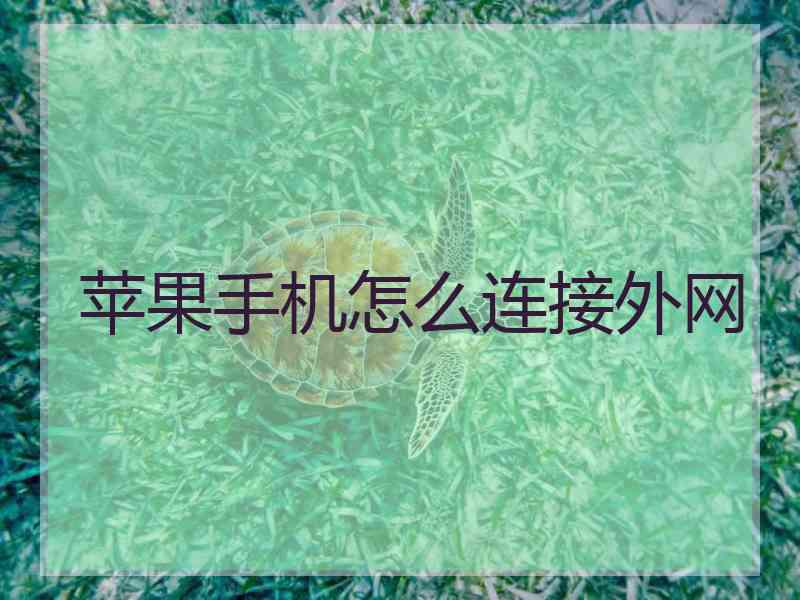 苹果手机怎么连接外网