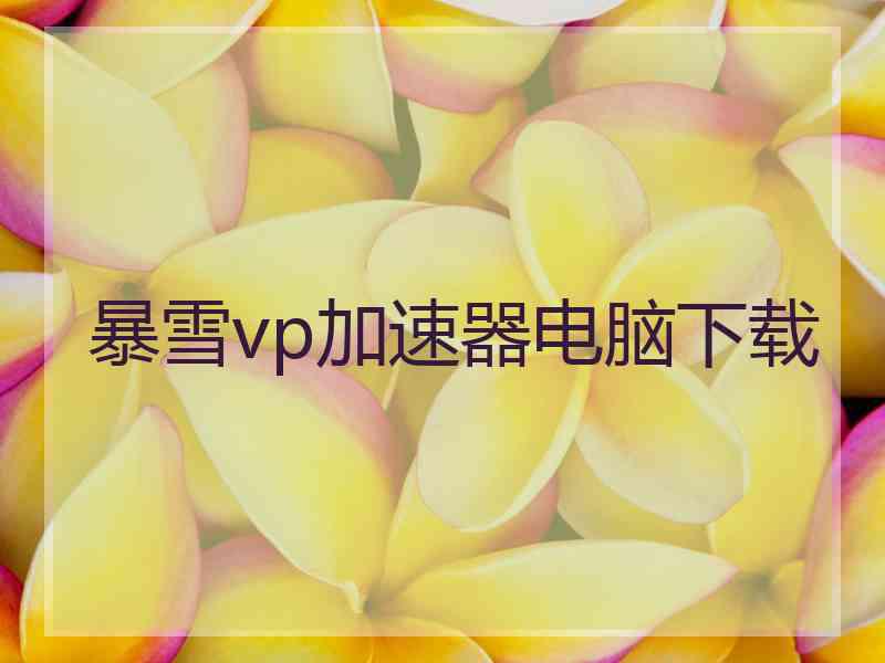 暴雪vp加速器电脑下载