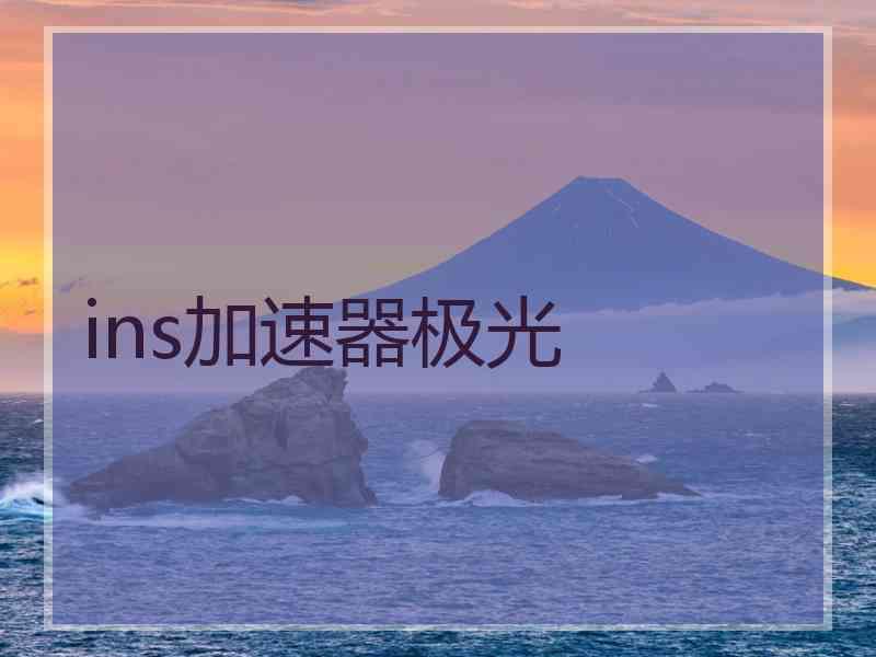 ins加速器极光