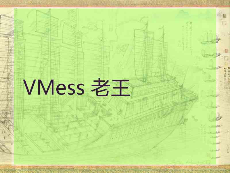 VMess 老王