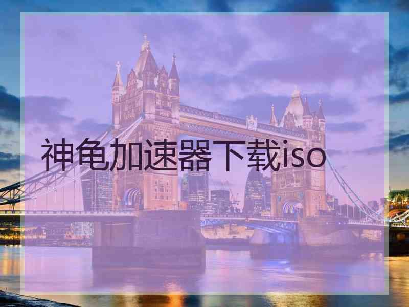 神龟加速器下载iso