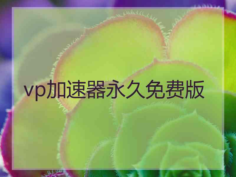 vp加速器永久免费版