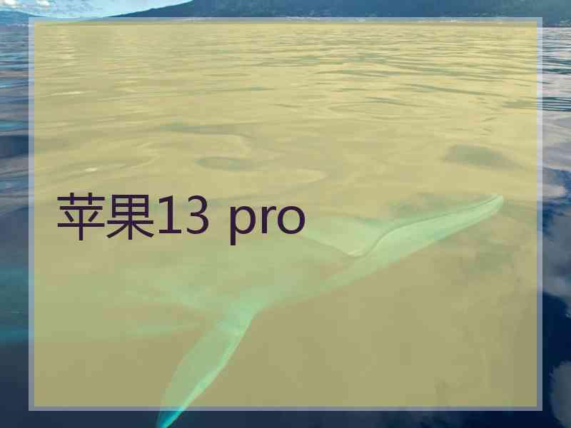 苹果13 pro