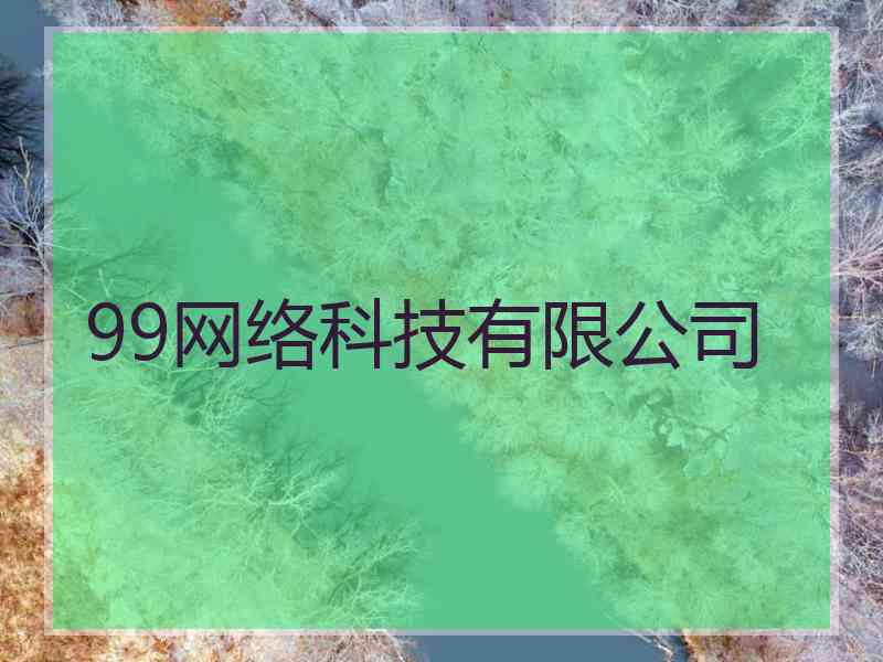 99网络科技有限公司