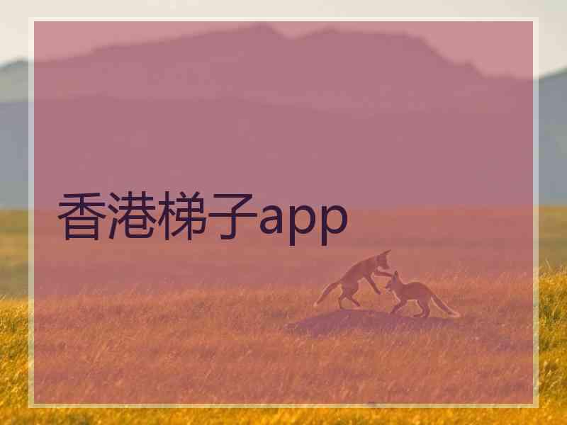 香港梯子app