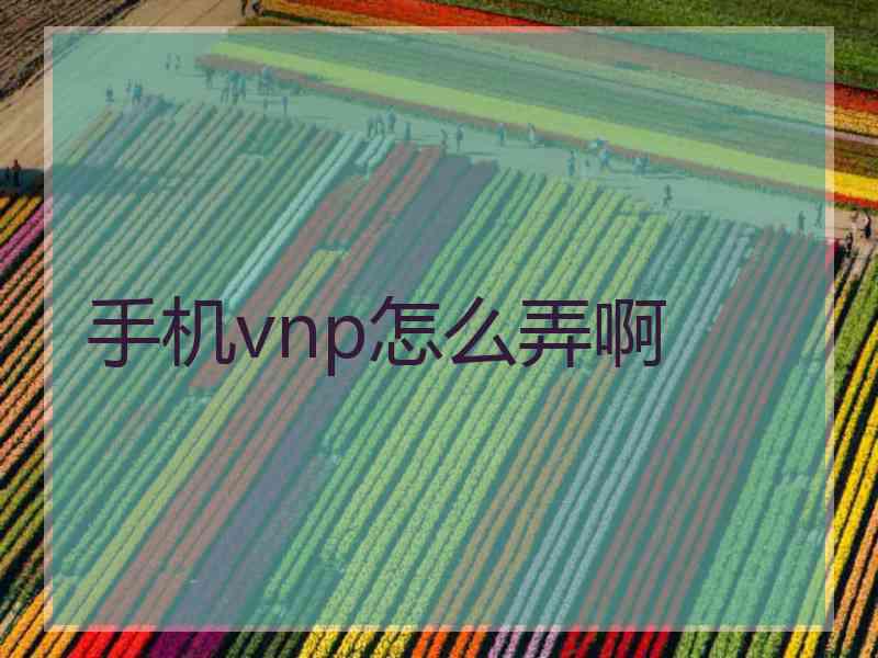 手机vnp怎么弄啊