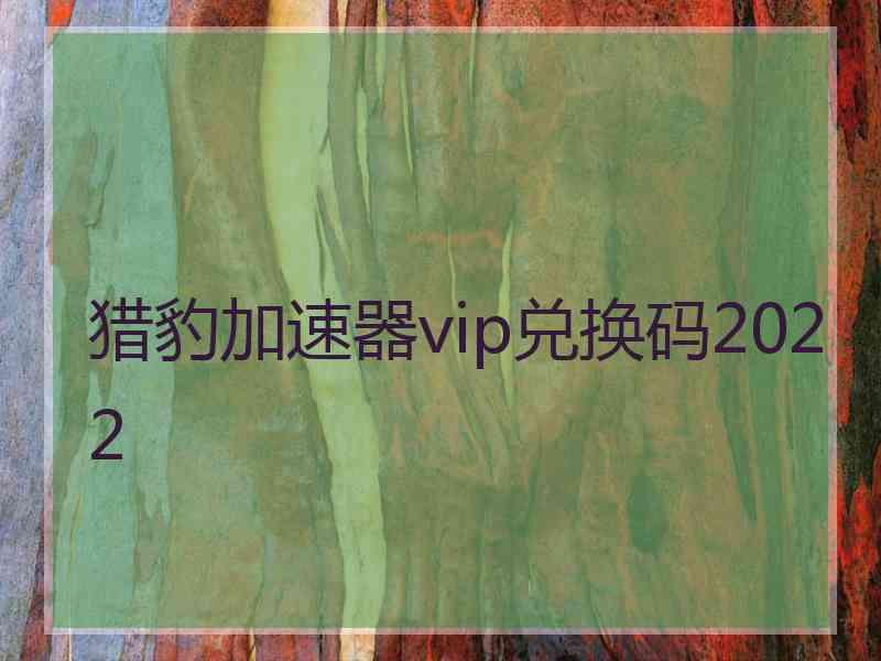 猎豹加速器vip兑换码2022