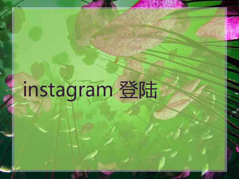 instagram 登陆