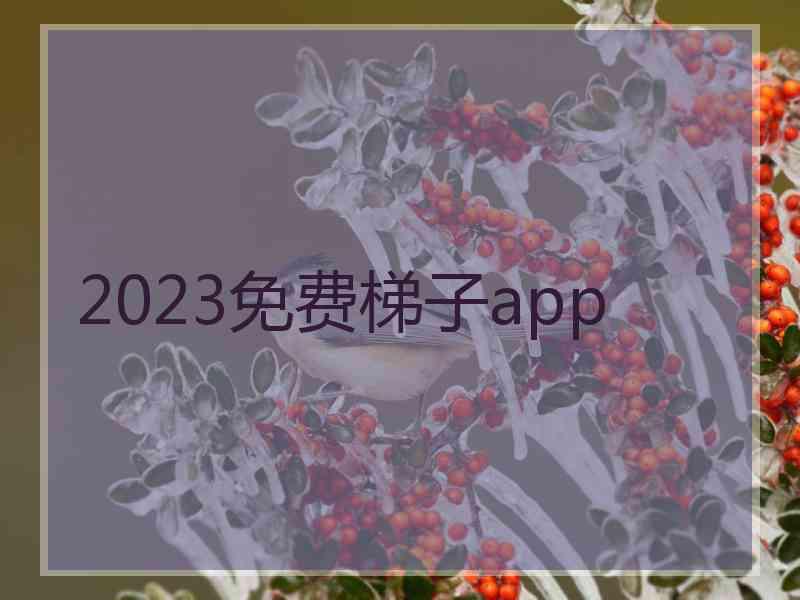 2023免费梯子app