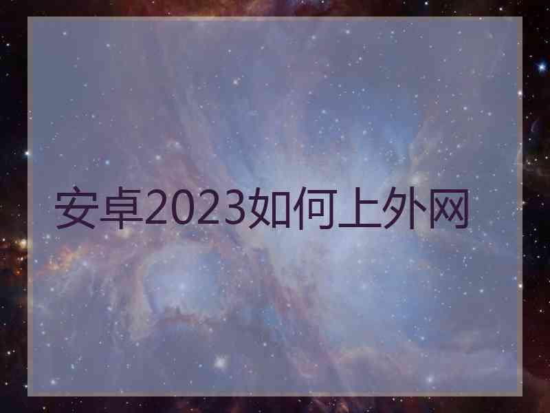 安卓2023如何上外网