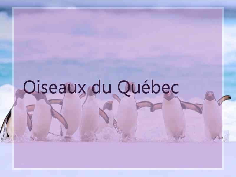 Oiseaux du Québec