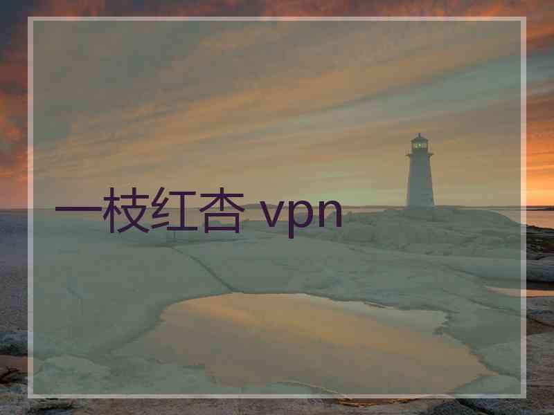 一枝红杏 vpn