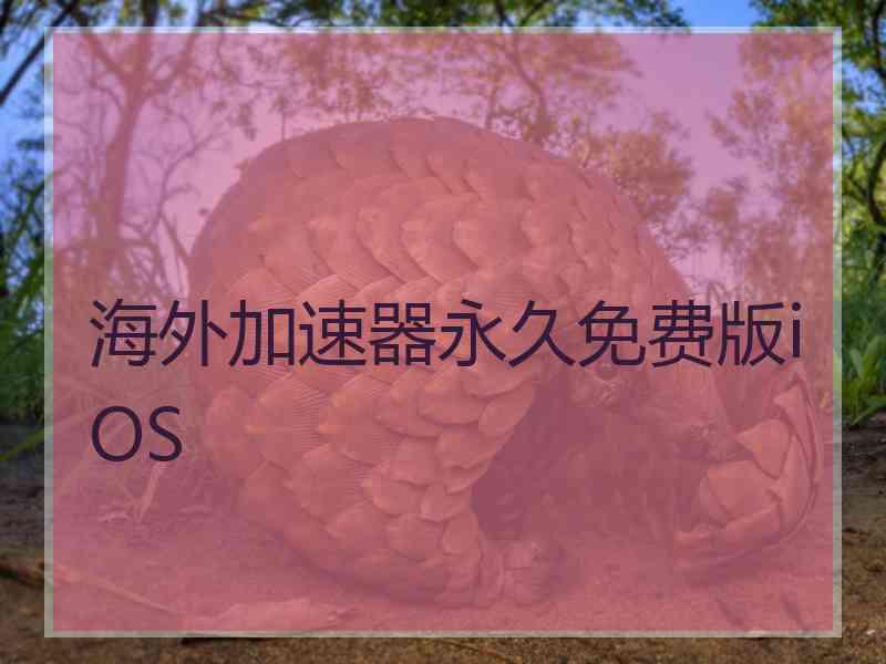 海外加速器永久免费版iOS