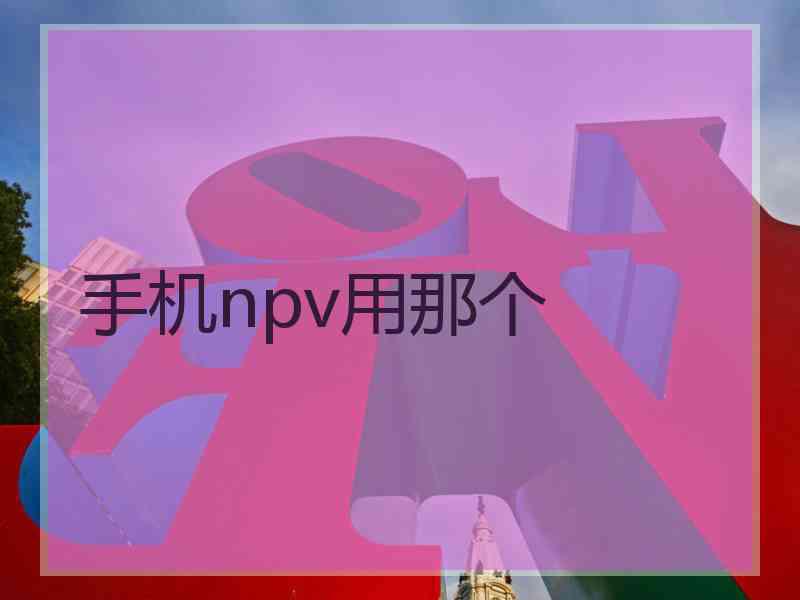 手机npv用那个