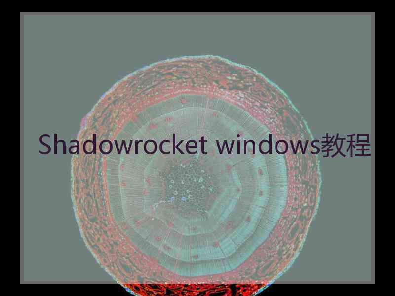 Shadowrocket windows教程