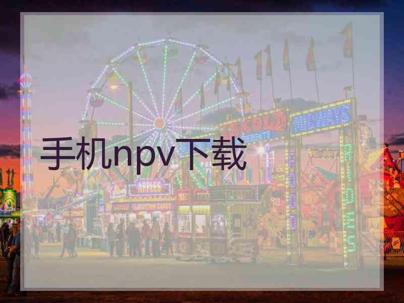 手机npv下载