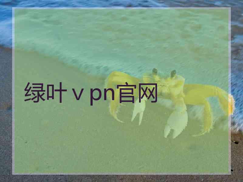 绿叶ⅴpn官网