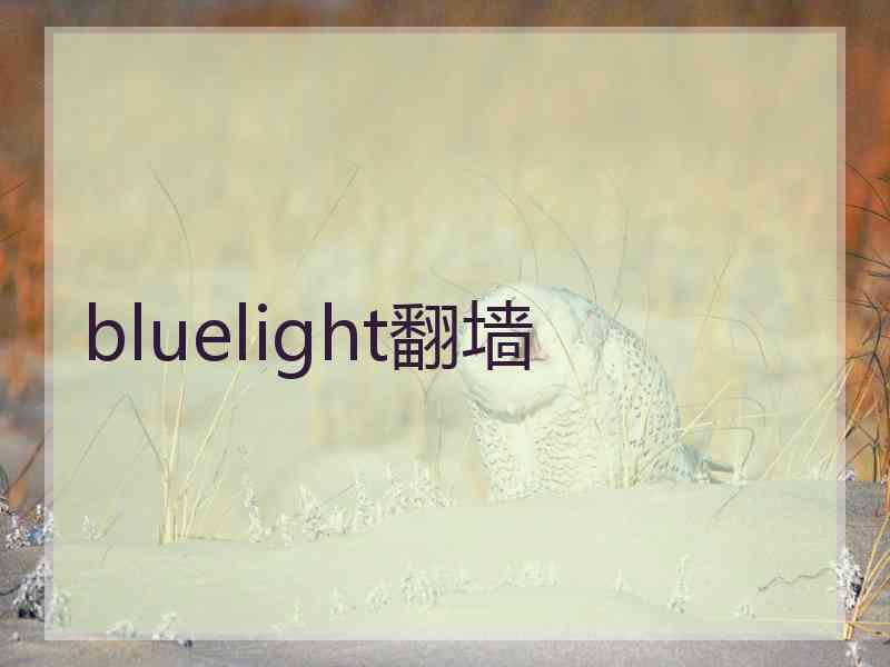 bluelight翻墙