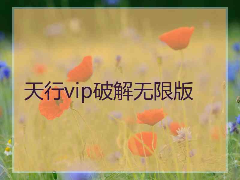 天行vip破解无限版