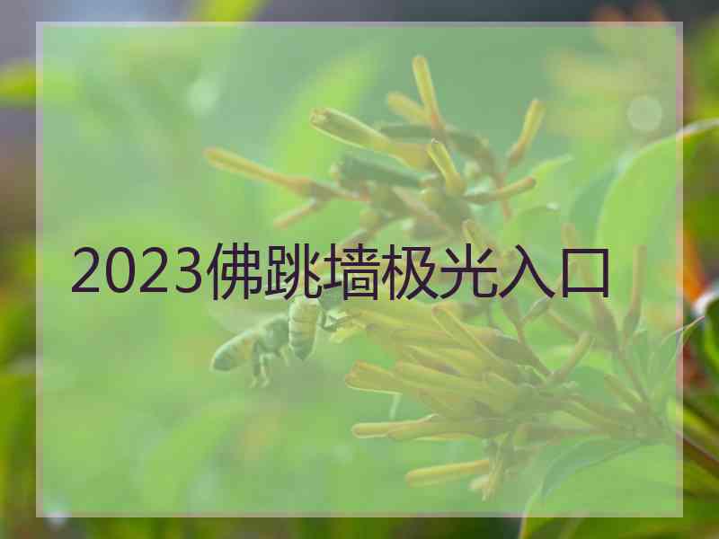 2023佛跳墙极光入口