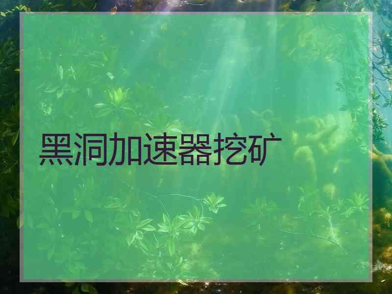 黑洞加速器挖矿