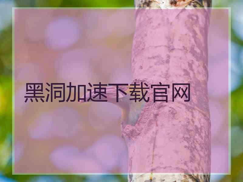 黑洞加速下载官网