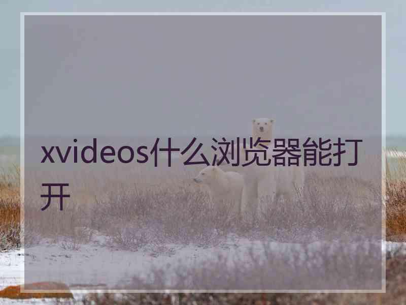 xvideos什么浏览器能打开