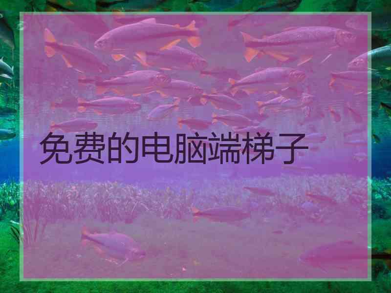 免费的电脑端梯子