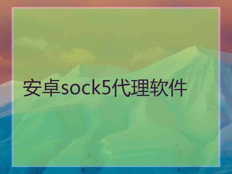 安卓sock5代理软件