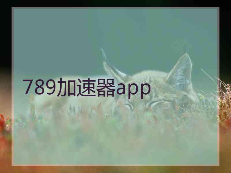 789加速器app