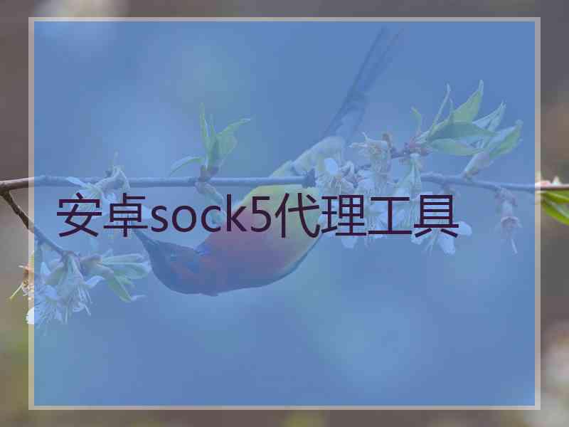 安卓sock5代理工具