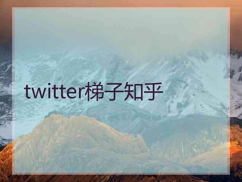 twitter梯子知乎