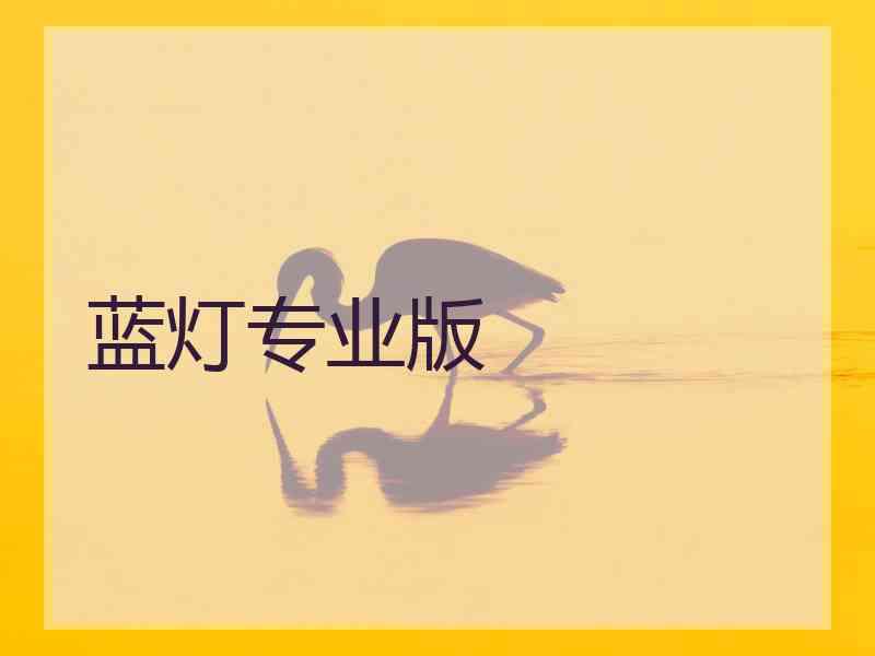 蓝灯专业版