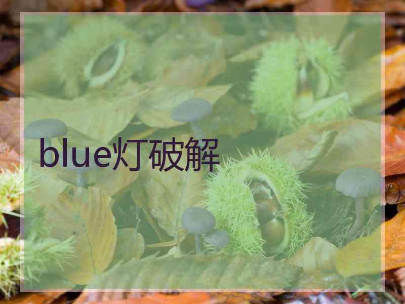 blue灯破解