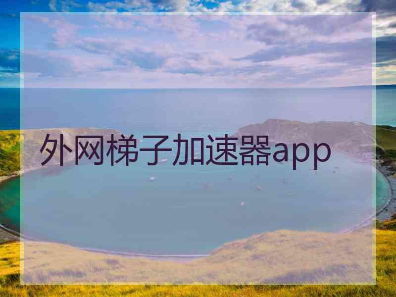 外网梯子加速器app