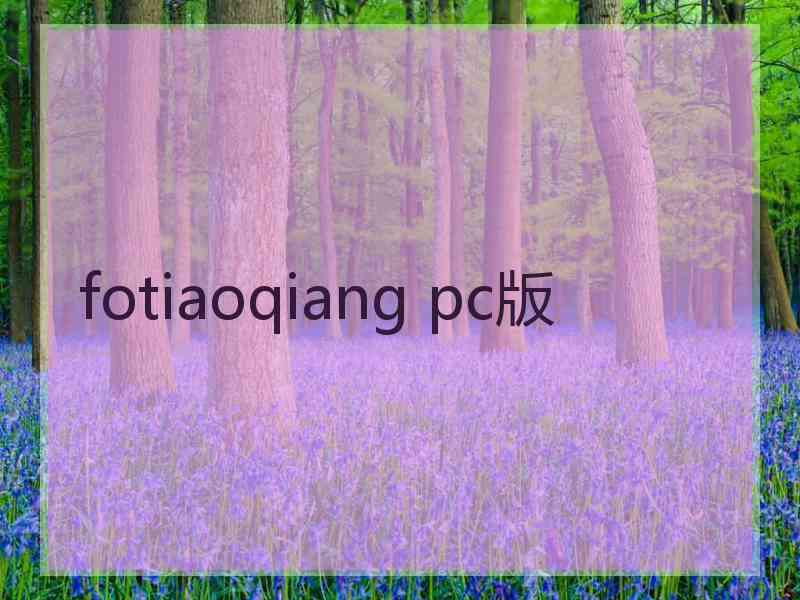 fotiaoqiang pc版