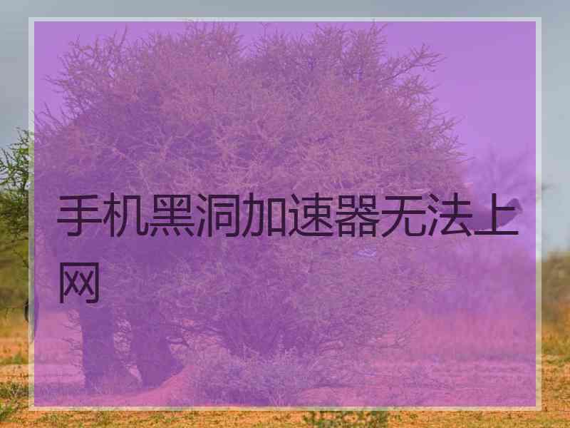 手机黑洞加速器无法上网