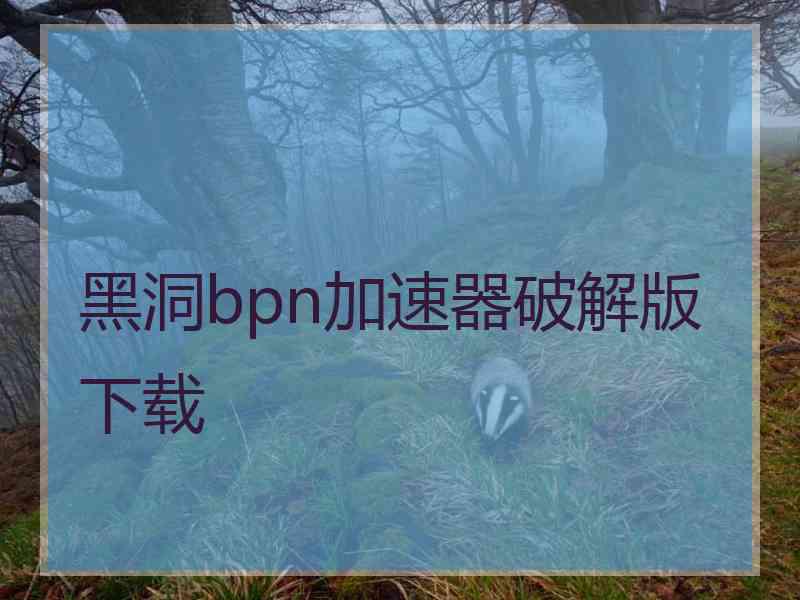 黑洞bpn加速器破解版下载