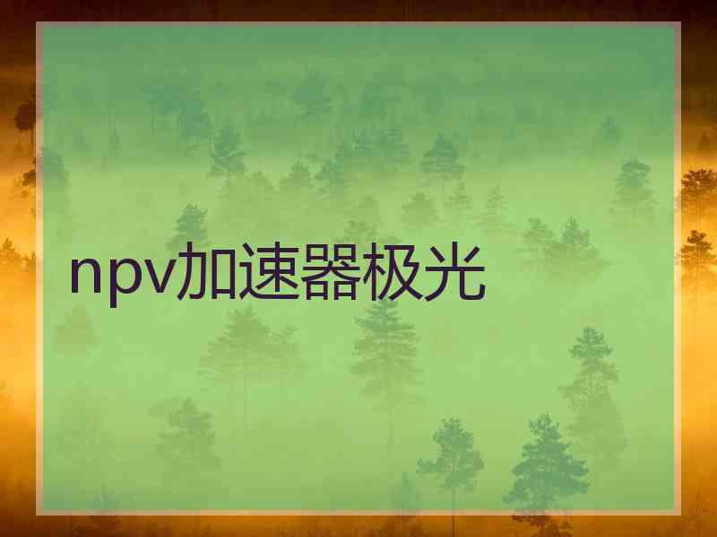 npv加速器极光