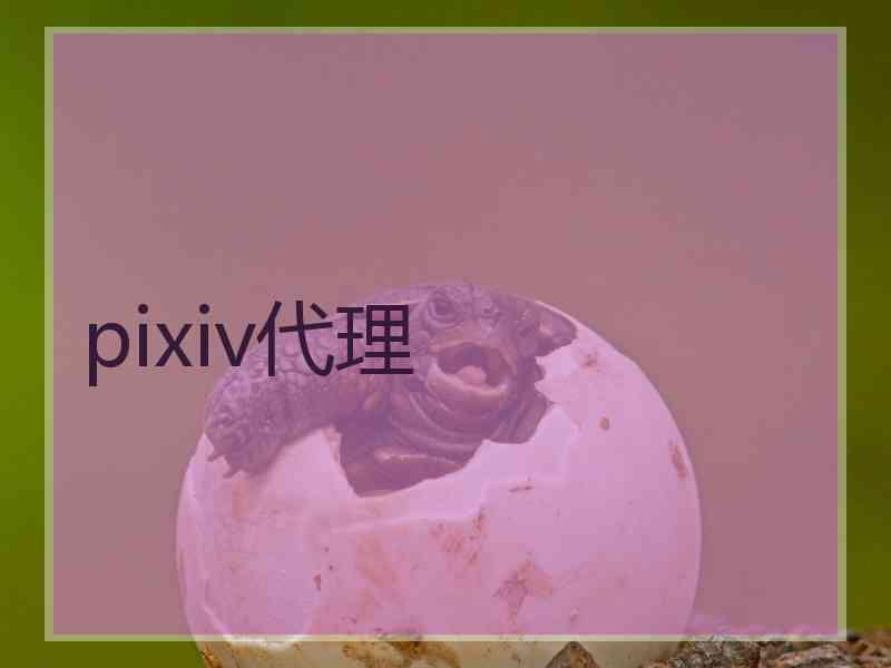 pixiv代理