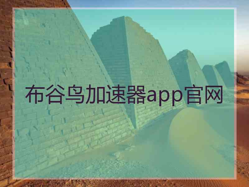 布谷鸟加速器app官网