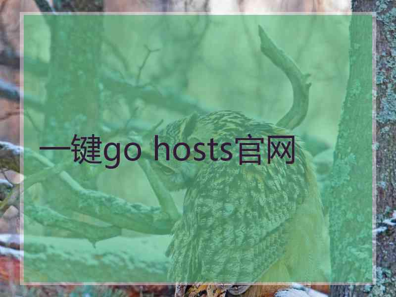 一键go hosts官网