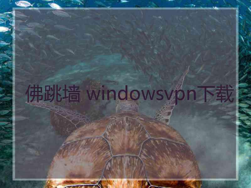 佛跳墙 windowsvpn下载