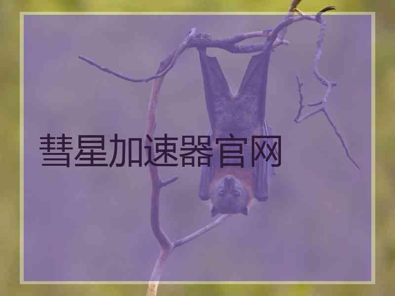 彗星加速器官网