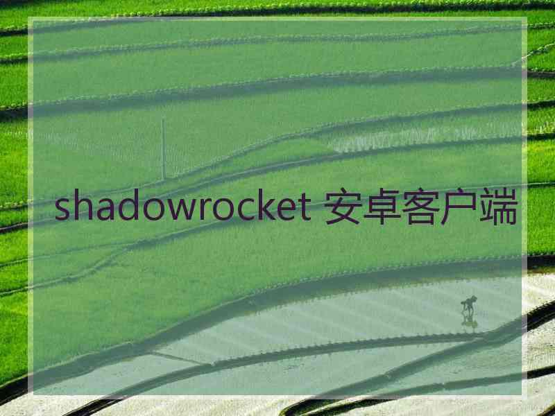 shadowrocket 安卓客户端