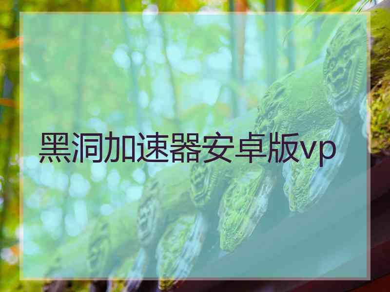 黑洞加速器安卓版vp