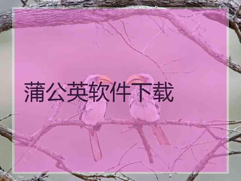 蒲公英软件下载