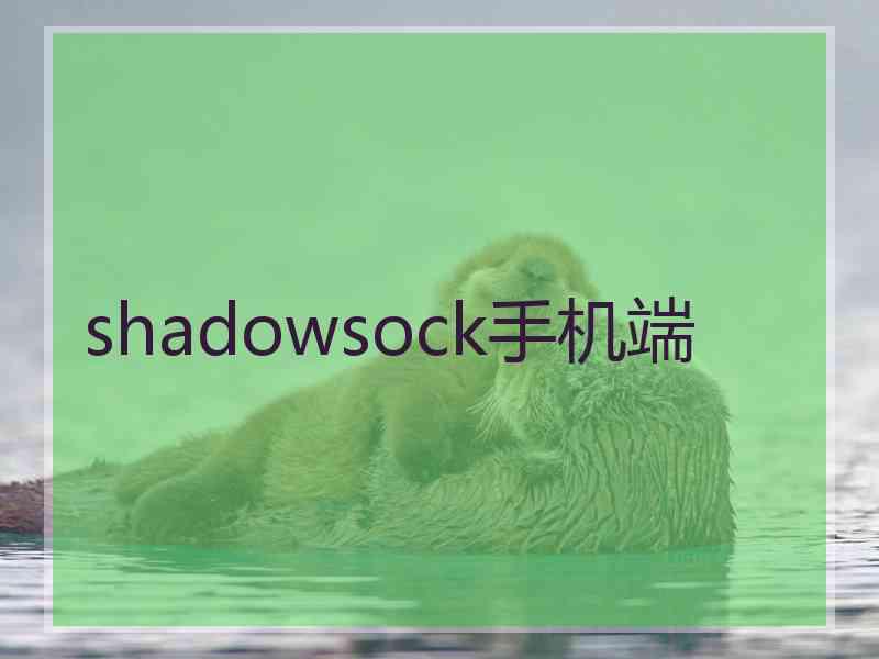 shadowsock手机端