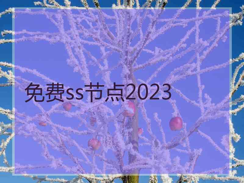 免费ss节点2023