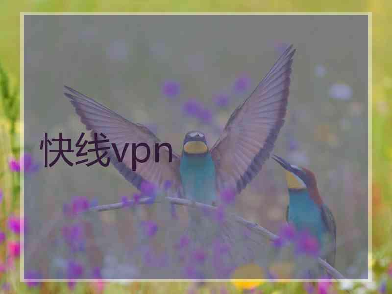 快线vpn